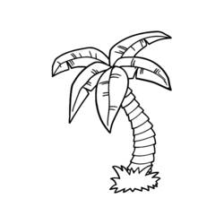 着色页: 棕榈树 (自然与季节) #161120 - 免费可打印着色页