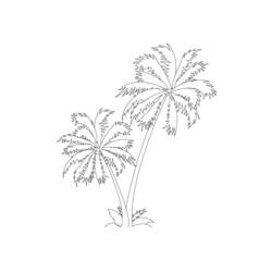 着色页: 棕榈树 (自然与季节) #161122 - 免费可打印着色页