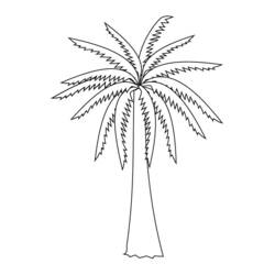 着色页: 棕榈树 (自然与季节) #161137 - 免费可打印着色页