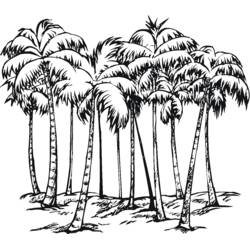 着色页: 棕榈树 (自然与季节) #161177 - 免费可打印着色页
