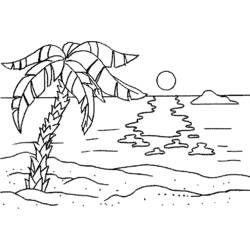 着色页: 棕榈树 (自然与季节) #161210 - 免费可打印着色页