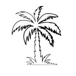 着色页: 棕榈树 (自然与季节) #200689 - 免费可打印着色页