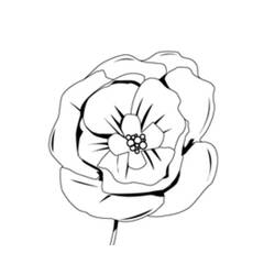 着色页: 罂粟花 (自然与季节) #162440 - 免费可打印着色页