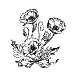 着色页: 罂粟花 (自然与季节) #162442 - 免费可打印着色页