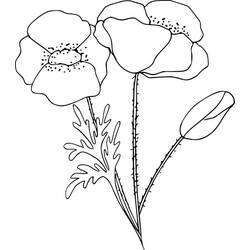 着色页: 罂粟花 (自然与季节) #162456 - 免费可打印着色页