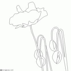 着色页: 罂粟花 (自然与季节) #162472 - 免费可打印着色页