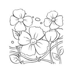 着色页: 罂粟花 (自然与季节) #162509 - 免费可打印着色页