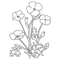 着色页: 罂粟花 (自然与季节) #162512 - 免费可打印着色页