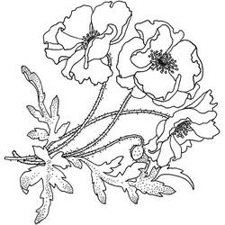 着色页: 罂粟花 (自然与季节) #162519 - 免费可打印着色页