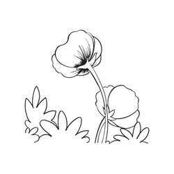 着色页: 罂粟花 (自然与季节) #162539 - 免费可打印着色页