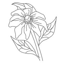 着色页: 罂粟花 (自然与季节) #162550 - 免费可打印着色页