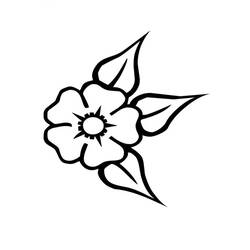 着色页: 罂粟花 (自然与季节) #162583 - 免费可打印着色页