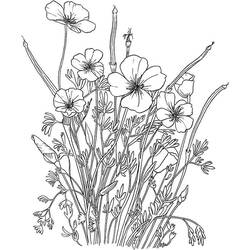 着色页: 罂粟花 (自然与季节) #182354 - 免费可打印着色页