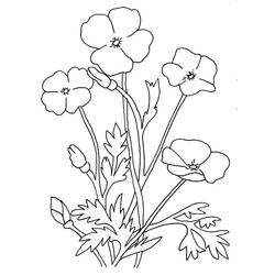 着色页: 罂粟花 (自然与季节) #182363 - 免费可打印着色页
