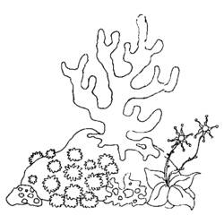 着色页: 海床 (自然与季节) #160105 - 免费可打印着色页