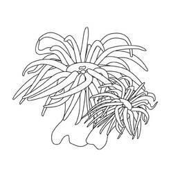 着色页: 海床 (自然与季节) #160113 - 免费可打印着色页