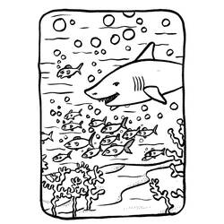 着色页: 海床 (自然与季节) #160161 - 免费可打印着色页