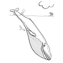 着色页: 海床 (自然与季节) #160210 - 免费可打印着色页