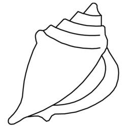 着色页: 贝壳 (自然与季节) #163151 - 免费可打印着色页