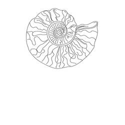 着色页: 贝壳 (自然与季节) #163204 - 免费可打印着色页