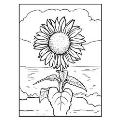 着色页: 向日葵 - 免费可打印着色页