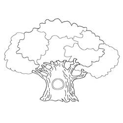 着色页: 树 (自然与季节) #154688 - 免费可打印着色页