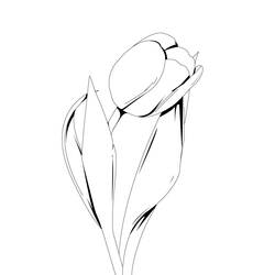 着色页: 郁金香 (自然与季节) #161615 - 免费可打印着色页
