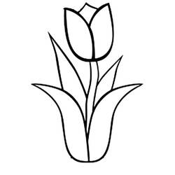 着色页: 郁金香 - 免费可打印着色页