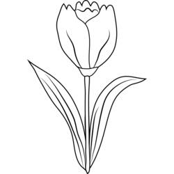 着色页: 郁金香 (自然与季节) #161706 - 免费可打印着色页