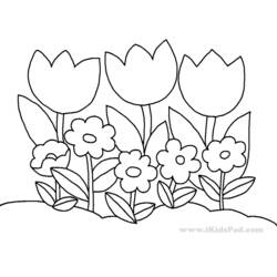 着色页: 郁金香 (自然与季节) #161758 - 免费可打印着色页