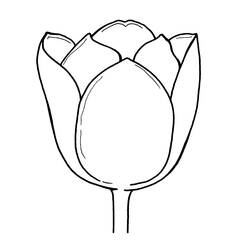 着色页: 郁金香 (自然与季节) #161799 - 免费可打印着色页