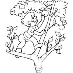 着色页: 苹果树 (自然) #163444 - 免费可打印着色页