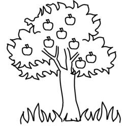 着色页: 苹果树 (自然) #163457 - 免费可打印着色页