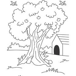 着色页: 苹果树 (自然) #163772 - 免费可打印着色页