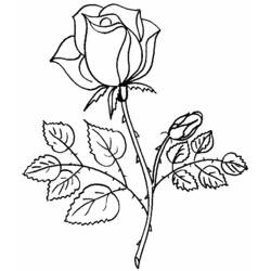 着色页: 一束鲜花 (自然) #160736 - 免费可打印着色页