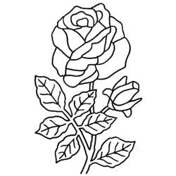 着色页: 一束鲜花 (自然) #160738 - 免费可打印着色页