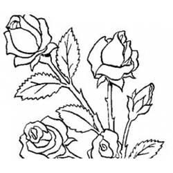 着色页: 一束鲜花 (自然) #160747 - 免费可打印着色页