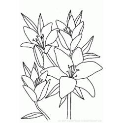 着色页: 一束鲜花 (自然) #160788 - 免费可打印着色页