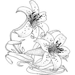 着色页: 一束鲜花 (自然) #160834 - 免费可打印着色页