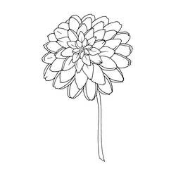 着色页: 一束鲜花 (自然) #160838 - 免费可打印着色页