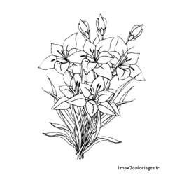 着色页: 一束鲜花 (自然) #160865 - 免费可打印着色页