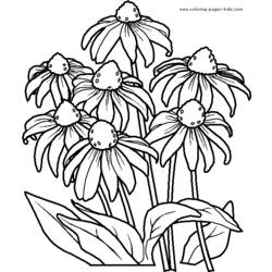 着色页: 一束鲜花 (自然) #160888 - 免费可打印着色页