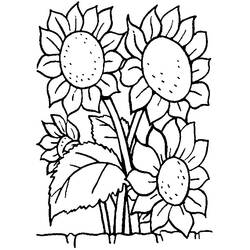 着色页: 一束鲜花 (自然) #160964 - 免费可打印着色页