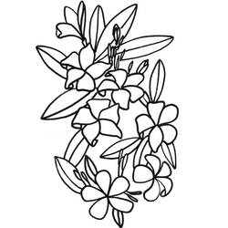 着色页: 一束鲜花 (自然) #161015 - 免费可打印着色页