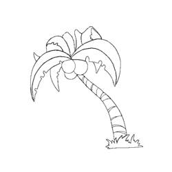 着色页: 椰子树 (自然) #162116 - 免费可打印着色页