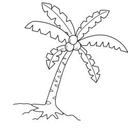 着色页: 椰子树 (自然) #162366 - 免费可打印着色页