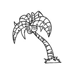 着色页: 椰子树 (自然) #162375 - 免费可打印着色页