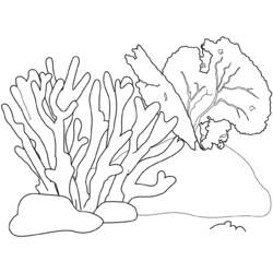 着色页: 珊瑚 (自然) #162779 - 免费可打印着色页