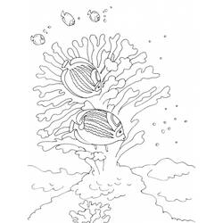着色页: 珊瑚 (自然) #162781 - 免费可打印着色页