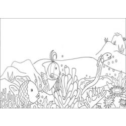 着色页: 珊瑚 (自然) #162795 - 免费可打印着色页